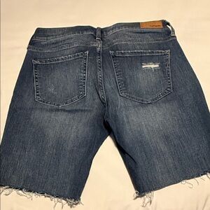 Express Dark Blue Denim Shorts
